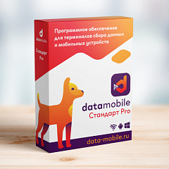ПО DataMobile, версия Стандарт Pro в Мурманске